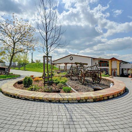 Penzion Tokaj Macik Winery B&B Mala Trna Exterior photo