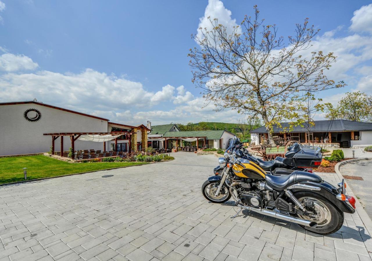 Penzion Tokaj Macik Winery B&B Mala Trna Exterior photo