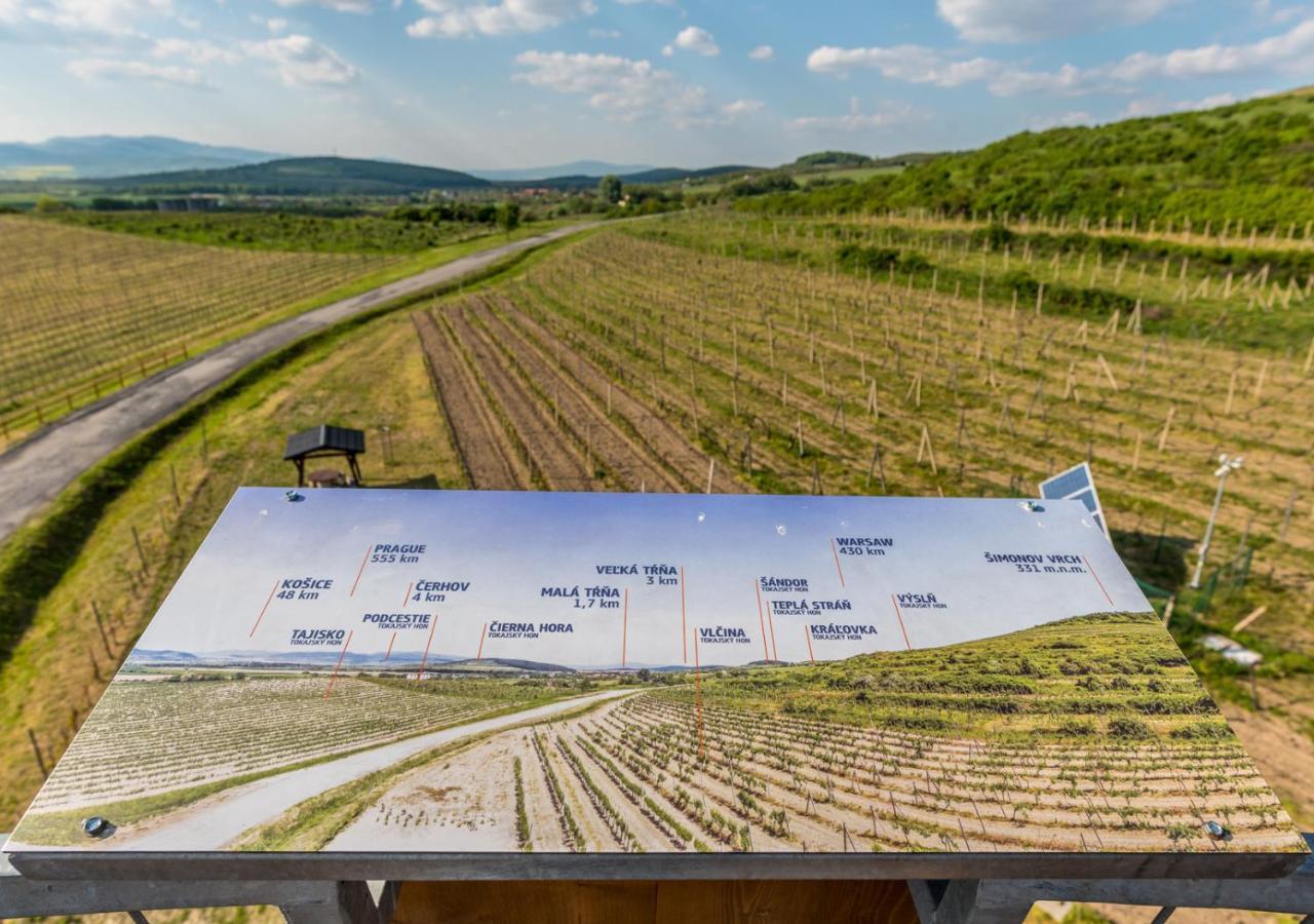 Penzion Tokaj Macik Winery B&B Mala Trna Exterior photo